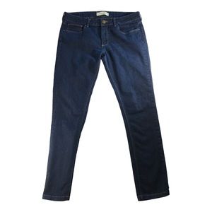 Zara Basic Denim